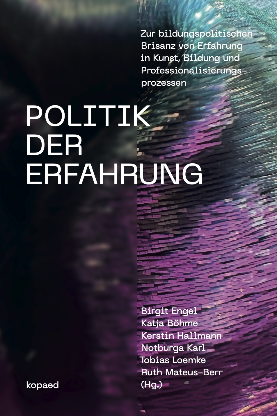 2026_Politik der Erfahrung_Cover